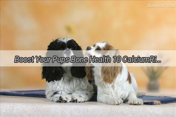 Boost Your Pups Bone Health 10 CalciumRich Treats for Canines